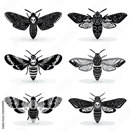 Vector silhouette set of Halloween Moth (death's-head hawkmoth) isolated in White background, silhouette Set, Halloween theme, Vector illustration 