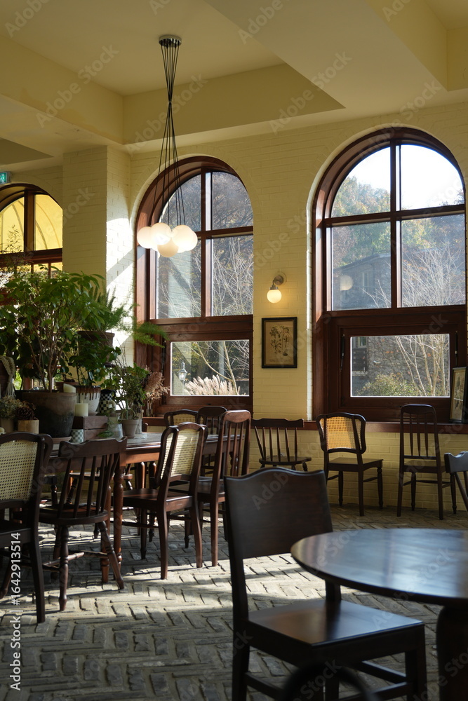 Fototapeta premium 코지한 느낌, 편안함이 느껴지는 한국의 한 카페 | A cafe in Korea that feels cozy and comfortable