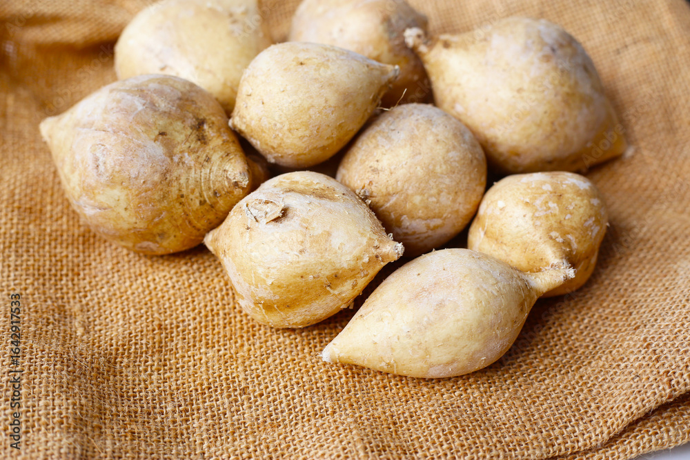 Obraz premium Mexican turnip or jicama or yam bean