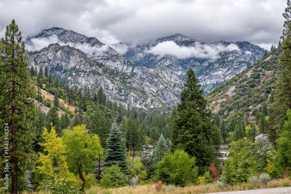 Fototapeta premium Mountain valley scene, cloudy sky, lush forest