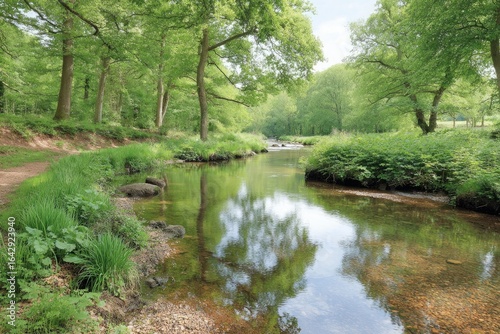 Serene river flowing through a lush forest