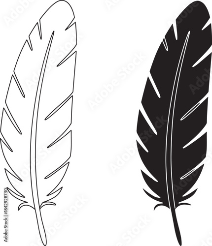 Feather Illustration Set Black and White Bird Plumes for Creative Design
