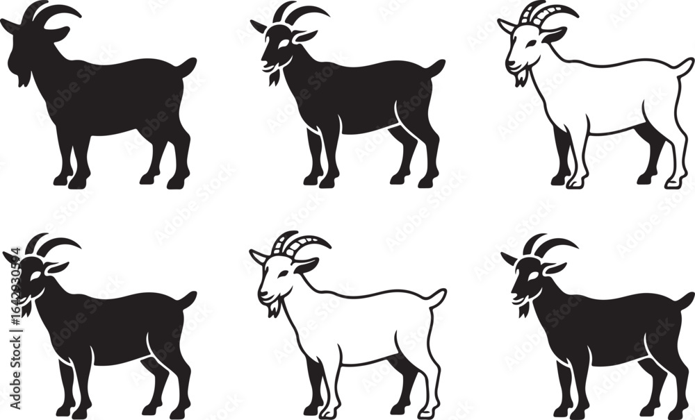 Fototapeta premium Collection of six black panther silhouettes in various walking and stalking poses. Vector illustration set isolated on a white background.