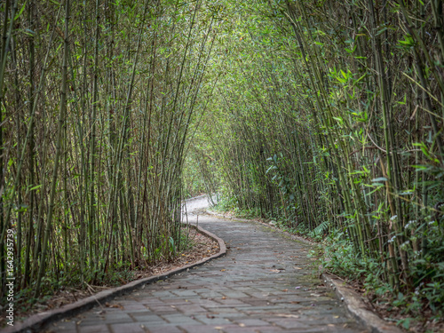 バギオのボタニカルガーデン