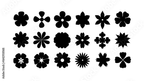 Collection of Black Birds Silhouettes flock flying