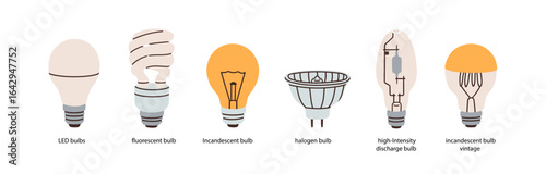 Light bulbs, electric lamp types. LED, fluorescent, incandescent, halogen and HID lighbulbs, modern and vintage electricity, illumination. Flat vector illustrations isolated on white background