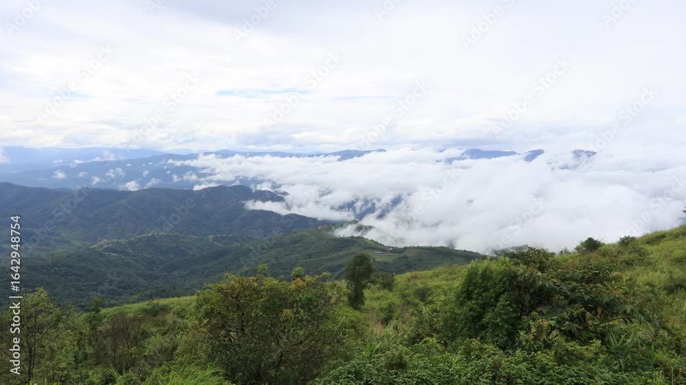 Close-up nature video of the atmosphere surrounded by mountains, grasslands, mist from rain and heat that causes fog to cover the area. The joy of traveling and experiencing nature. Close-up nature video of the atmosphere surrounded by mountains, grasslands, mist from rain and heat that causes fog to cover the area. The joy of traveling and experiencing nature.