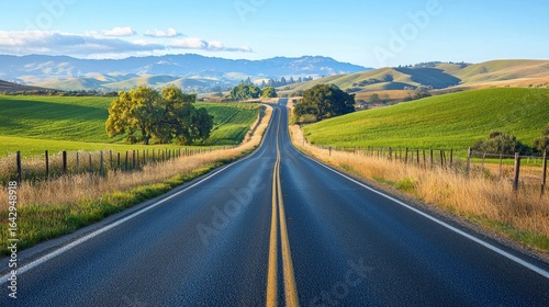 Countryside Road in California during the summer
