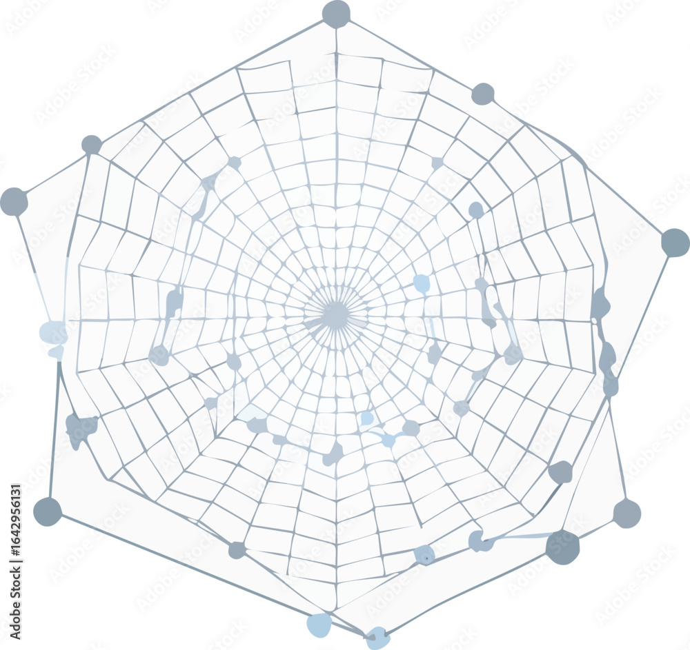 Obraz premium spider web design