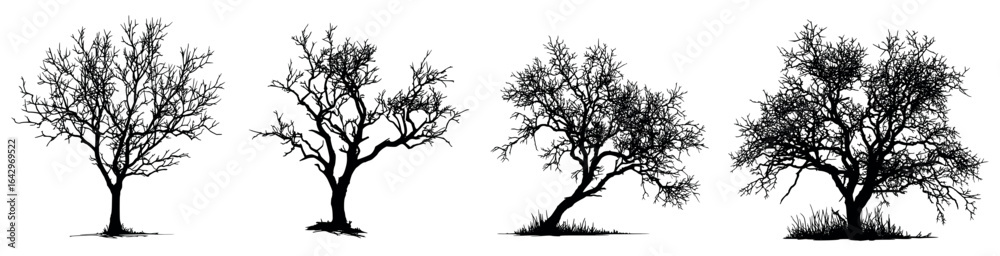 custom made wallpaper toronto digitalSet of dry tree silhouettes. Spooky Halloween elements. Dry tree branches in black silhouette. Poster holiday background template and Halloween cards. Vector illustration.