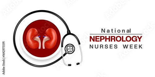 National Nephrology Nurses Week. Kidney and  stethoscope. Suitable for posters, banners and social media. White background.