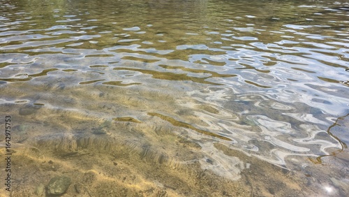 Photos Close-up of transparent shallow river water with visible riverbed and soft rippl