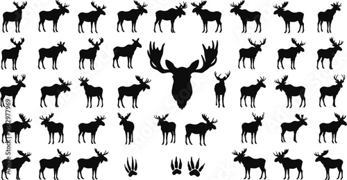 Moose silhouette vector set, elk animal clipart, wildlife black shapes, deer family illustration, forest mammal design, hunting and nature graphic icons