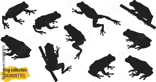 Frog silhouette collection, jumping frog vector, tree frog clipart, amphibian black shapes, wildlife animal illustration, tropical frog design, nature graphic icons