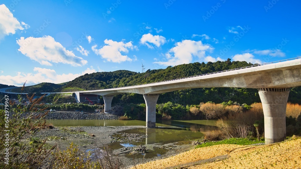 Fototapeta premium Te Ahu a Turanga Bridge
