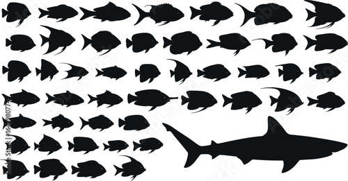 Photography Fish and shark silhouette collection, marine life vector set, underwater animals