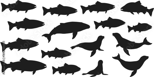 Fish and sea lion silhouette collection, vector illustration for marine life, aquatic animals, fishing, ocean wildlife, and underwater nature design