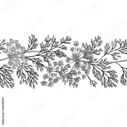 Dill Branch with Flowers and Leaves Dill Branch with Flowers and Leaves Outline Horizontal Seamless Pattern. Organic natural nutritional healthy food ingredient, vegetarian diet product. Vector isolat
