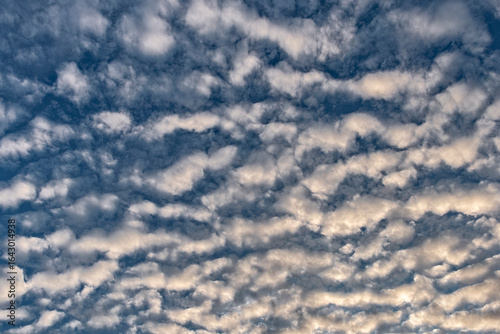 Unteransicht von Altocumulus- oder Schäfchenwolken, die sich am Abend- oder Morgenhimmel ausbreiten mit schräg einfallendem Sonnenlicht