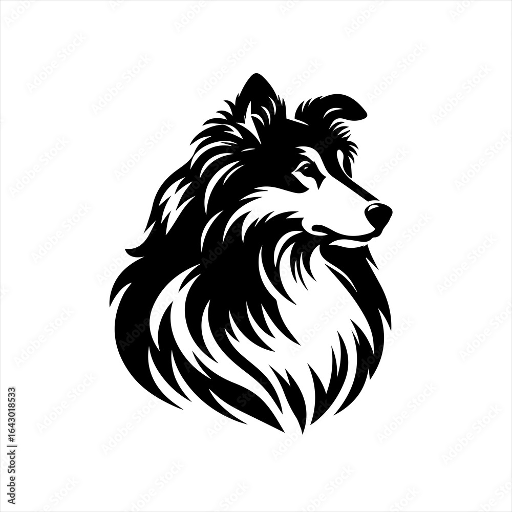 Fototapeta Black and white silhouette of a collie dog head