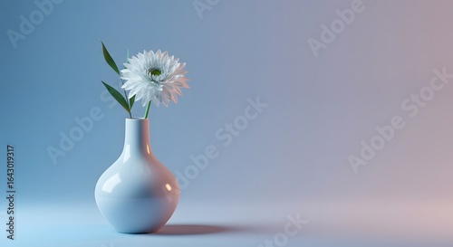 A single delicate white daisy in a minimalist white vase illuminated by soft blue and pink studio lighting	