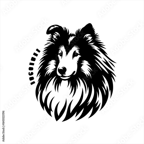Stylized black and white portrait of a shetland sheepdog