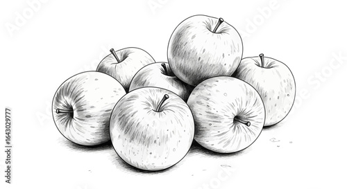 Apple illustration with detailed shading isolated on a white background