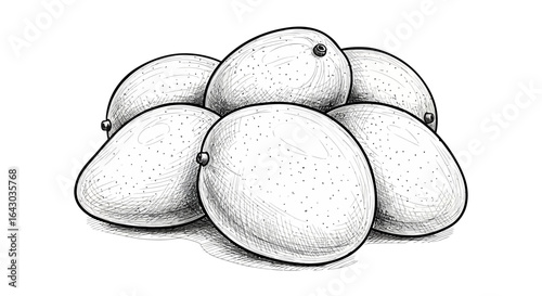 Hand Drawn Artistic Illustration Featuring a Group of White Mangoes
