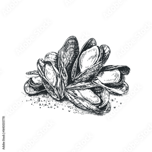 Hand-drawn sketch of open mussels on a sandy surface