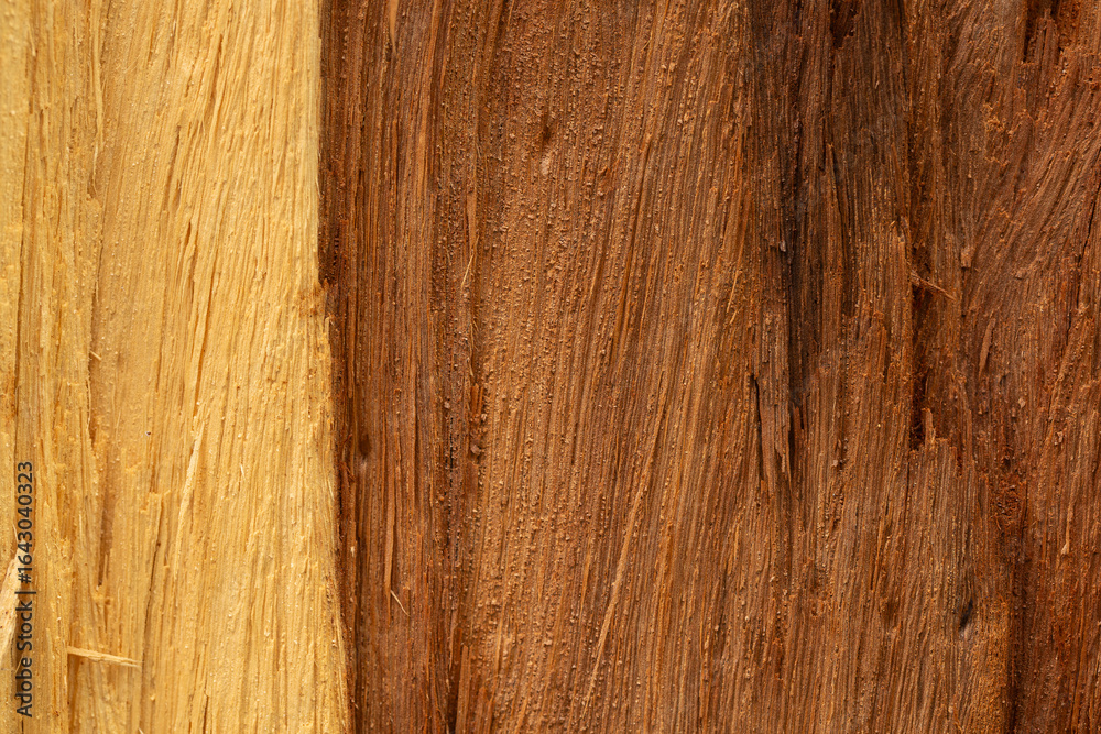 Macro wood texture,Close-Up of Dark Wood Texture with Deep Grooves,Old wood textured background. Dark driftwood surface, burnt wood brushing, macro brown floor Macro wood texture,Close-Up of Dark Wood Texture with Deep Grooves,Old wood textured background. Dark driftwood surface, burnt wood brushing, macro brown floor