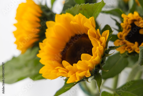 Sunflowers in a vase on a white background close up