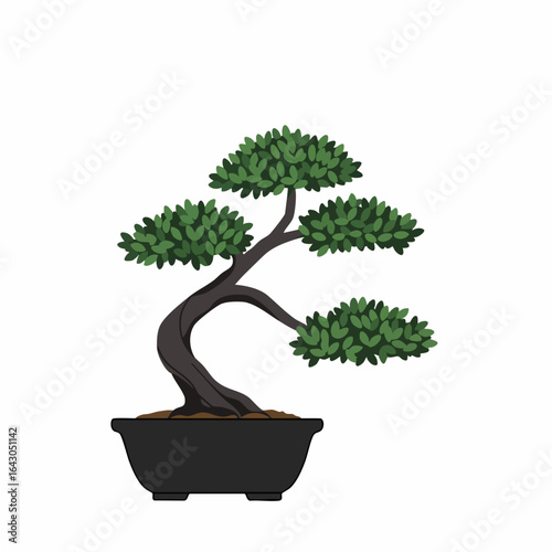 Vibrant Bonsai Tree in Elegant Black Pot