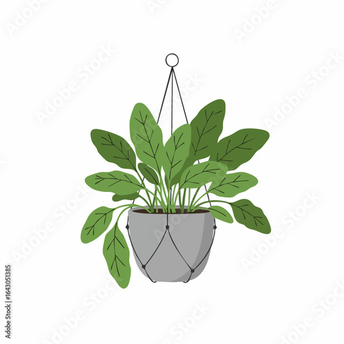 Hanging Potted Plant with Lush Green Leaves and Decorative Macrame Hanger
