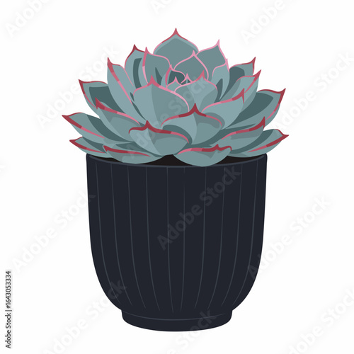 Vibrant Succulent in a Dark Pot, Detailed Illustration