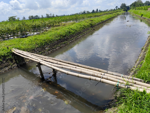 Sebuah jembatan bambu sederhana terbentang di atas sungai kecil yang mengairi ladang hijau di pedesaan Indonesia.
