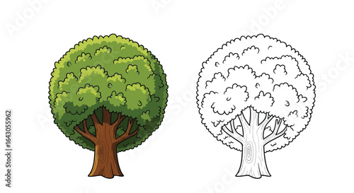 Cartoon Elm Tree Coloring Page for Children Fun Outdoor Learning Activity