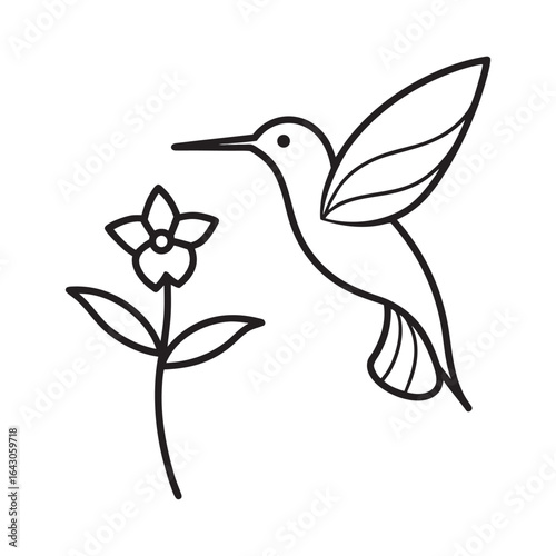 Stylized black and white outline drawing of a hummingbird hovering near a simple flower