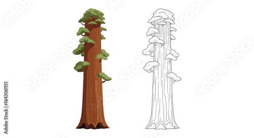 Cute Cartoon Redwood Tree Coloring Page for Kids Fun Nature Activity