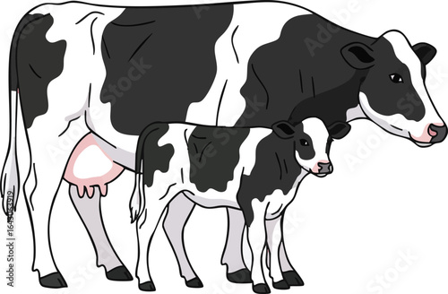Isolated Vector illustration of cow and calf. Farm animals, domestic cattle adult and young