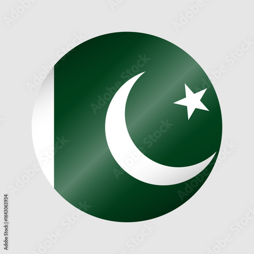 pakistan flag 1