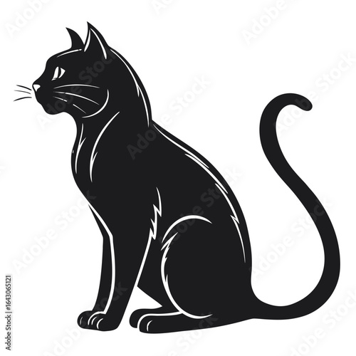 Elegant black cat sitting calmly with white highlights on a black background