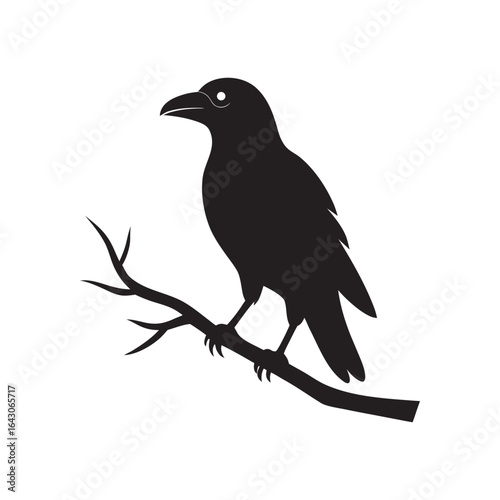 A striking black silhouette of a raven perched on a bare branch against a crisp white background