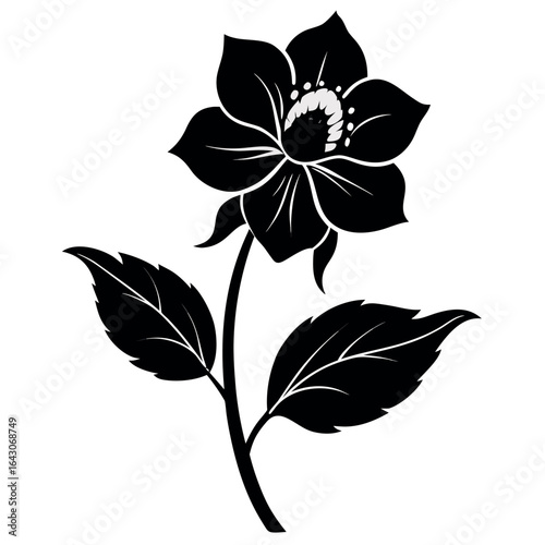 Vector art of black hellebore flower silhouette isolated on white background
