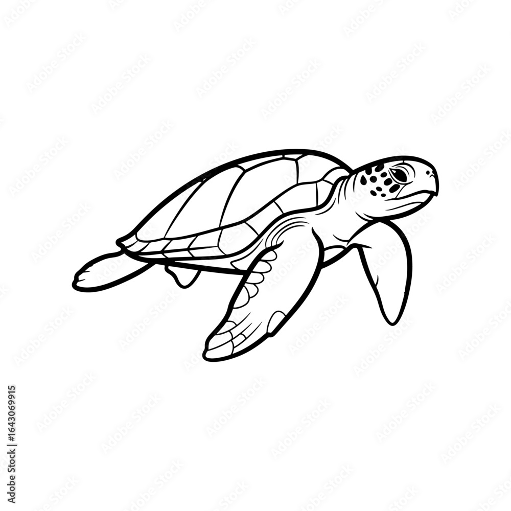 Obraz premium A striking still image of a turtle: its steady motion and sturdy shell bring this image to life.