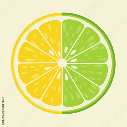 Vibrant illustration of a halved lime showcasing bright yellow and green segments