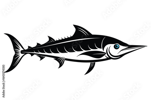 Blueeyed marlin shows its sharp fins in a striking black on white