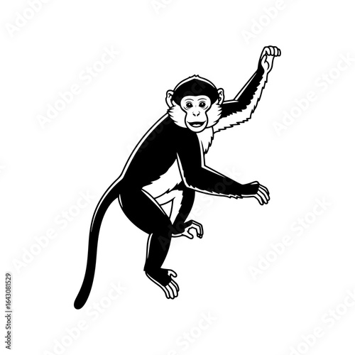The artistic form of the monkey, which captures the tenacity and natural beauty of its wild life in black and white lines.