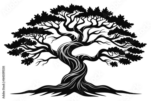 A twisted silhouette of a majestic oak tree stretches its sprawling branches across a stark white backdrop