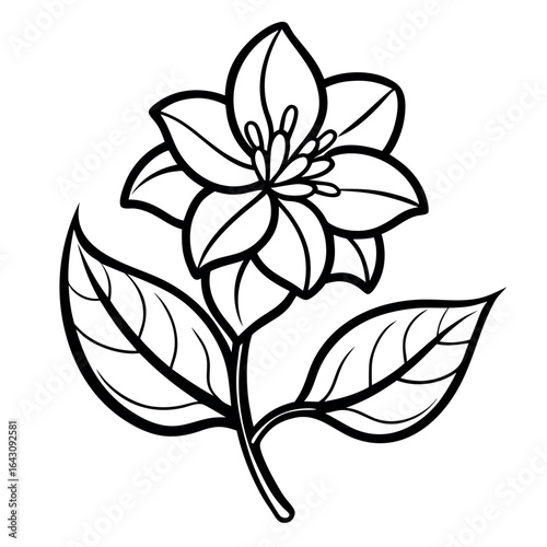 Vector art of trillium flower outline drawing isolated on white background