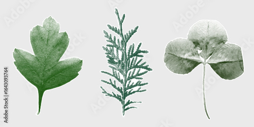 Set of green leaves with rough halftone stipple and gritty photocopy grain, ideal for Y2K collage posters and punk zine textures.